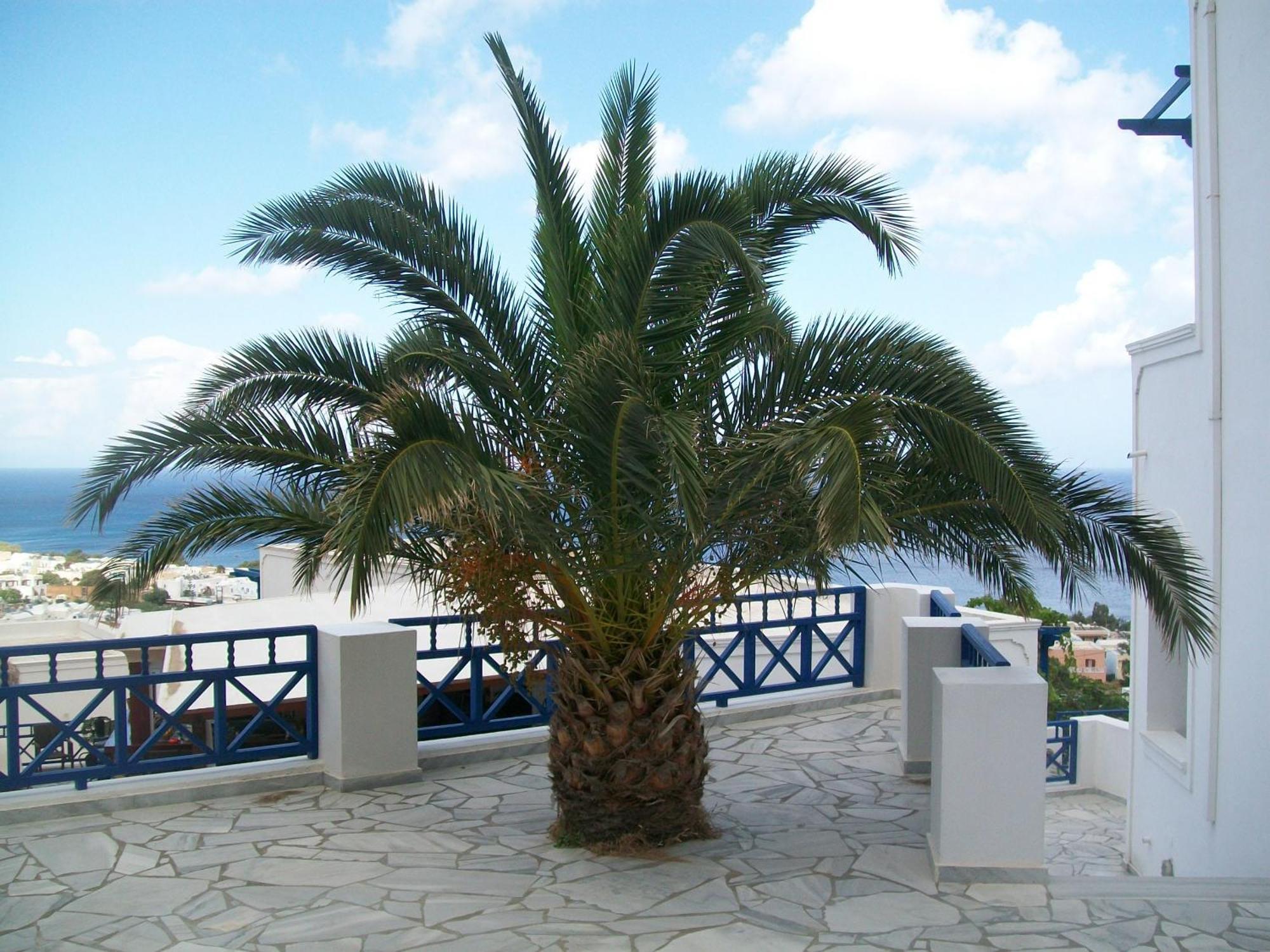 Aegean View Hotel Kamari  Exterior photo